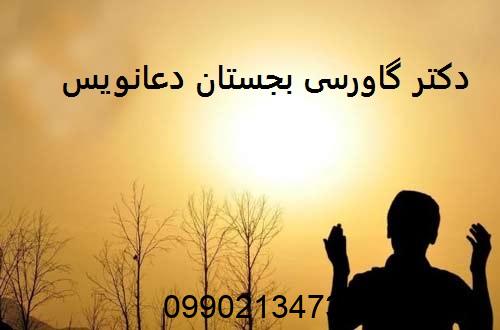 دکتر گاورسی بجستان دعانویس